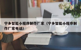 万宁宁乡智能小程序制作厂家（宁乡智能小程序制作厂家电话）