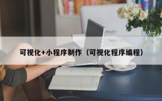 万宁可视化+小程序制作（可视化程序编程）